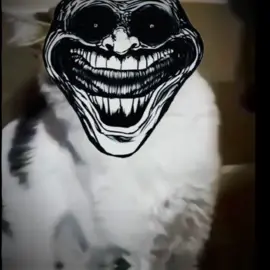 One wrong move and you are 💀☠️ #foryou #trollface #smile #cat #trollfaceedit 