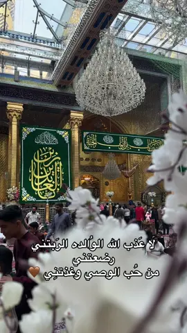 #الامام_العباس_عليه_السلام #الامام_الحسن_عليه_السلام #كربلاء_العشق #امي #مواليد #اناشيد #اكسبلور #الشعب_الصيني_ماله_حل😂😂 #شيعة_الامام_علي #ياعلي #البصرة #النجف_الاشرف #الامام_الحسين 