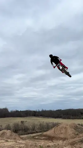 Do you guys prefer huge whips or style clips more? 