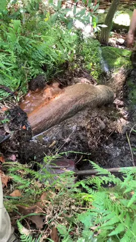 ASMR Plumber Unclogging 🤯 #unclogging #plumber #plumbing #uncloggingdrains #asmr #oddlysatisfying #satisfyingvideo #fyp