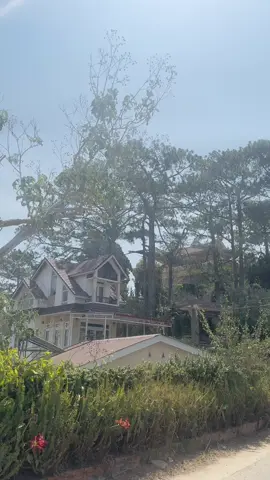 Chùa Sư Nữ Linh Phong( Chùa Linh Phong) tại Tp. Đà Lạt! #binhduong #61binhduong #saigon #baoloc #lamdong #dalat #phatphap #chualinhphong 