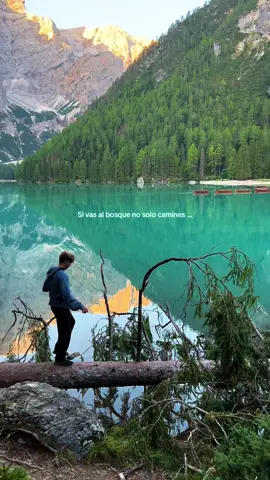 Go to the forest 🌲✨  . . . . . . #eluakids #bosque #forest #montaña #naturaleza #motivacion #motivation #salud #destinos #viajes #roadtrip #amigos #paz #calma 