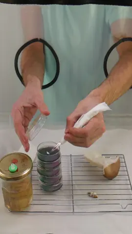 🍄 Fancy making a home mushroom laboratory? Here’s how. 🧪 Inside a modified a plastic box you can turn any mushroom into a living culture - and grow it yourself! #mushrooms #mycology #Science #cloning #laboratory #growingmushrooms #fungi #geek 