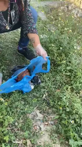 brujeria con chile y cocos #entidadnocturna #brujeriadeamor #rituales #brujeria #brujeriasdetiktok #ritualesdebrujeria #ritualesmagicos🕯 #brujeriaa #fantas #terror #sobrenatural