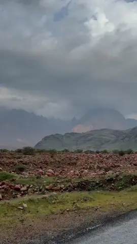 #لايامحمد مابقي كثر مارح#مجرد________ذووووووق🎶🎵💞 #بندر_سعيد_ابو_حشر 