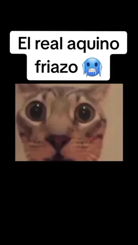 Si se paso de frío aquino 🥶 #aquino #fyp #parati #tiktok #fypシ #fypシ゚viral #AQUINO #by2002 #aquisiclips #aquisi #aquinoby2002 #twitch #viral #lucasta #duxo #c3jo #duxorethey #wbns #webones #wbnsxmc