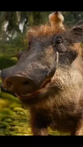 Are you #pumba and #timon Fan!! If #Yes drop and #heart ☺️🥰 “No worries and take it easy” #hakunamatata #funny #foryou #fyp #thelionking #childhood #Love 
