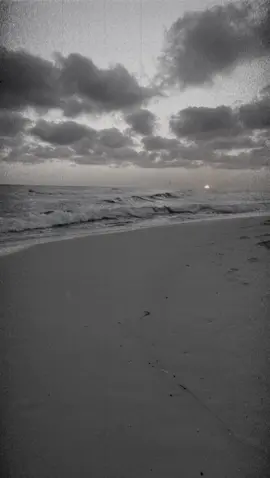 تدوسين المصاحب في الترابي #❤️ #اكسبلورر シ #bts #اكسبلور #اكسبلورexplore #استغفرالله #🌙 #🦋 #🥰 