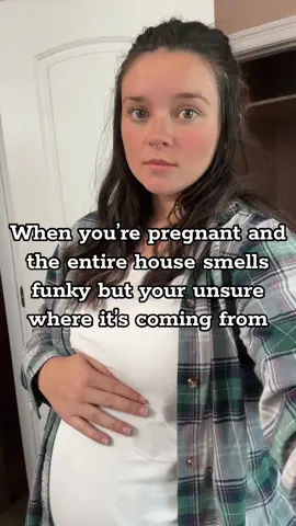 Enough to make me start cleaning everything 😂😂 #pregnancyjourney #pregnancyhumor #pregnantlife #pregnant #MomsofTikTok #pregnanttiktok #relatable #fyp #pregnantwithtoddlerlife #toddler #toddlermom #toddlersoftiktok #momlife #momtok #mommy 