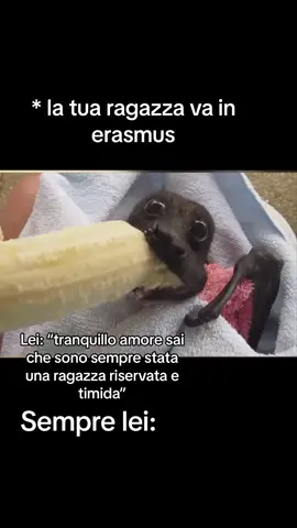 Che cosa vuoi che dica…🗣️🗣️🗣️ #tiktok #viralvideo #viral #tikt #tikto #meme #erasmus 