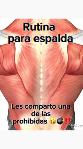 Rutina para esa espalditaaaaa 💣🫶🏼🧨 #espaldamarcada #espaldaworkout #espaldaancha #eapaldagrande #espaldagym #espaldasana #espalda #backdayworkout #backdayroutine #backdayexercises #backdaytips #backdaybestday #backdayworkout 