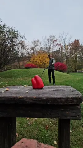 Last Autumn 🍂 Slicing a leftover pepper for the deer and creatures to eat #bullwhip #whipcracking 