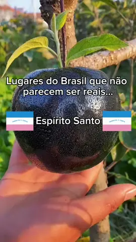 Você moraria no Espírito Santo? #lugaresquenaoparecemreais #lugaresdobrasil #lugaresparavisitar #espiritosanto #viagenspelobrasil 