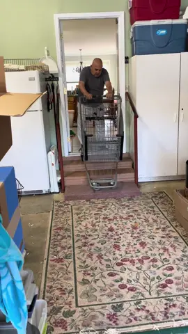 A Jock compilation 😂😭😆#grandparentsoftiktok #jock #grandparents #60yearsmarried #bellylaughs #grandpa #shoppingcart #umbrella 
