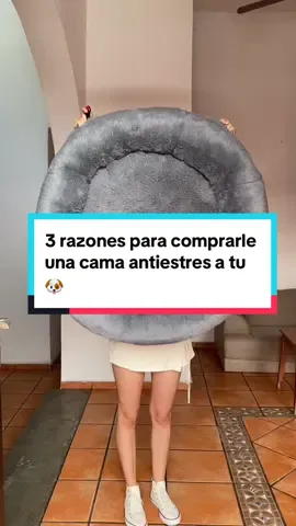 3 razones para comprarle una camita antiestres a tu perro 🐶 #camaantiestres #camasparaperros #camitasparamascotas #dogbed #calmingdogbed #3reasonswhy #perros #perrhijos #perrosmexico 