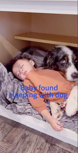 Look at how cute this sleeping duo is! Aren’t they adorable? 👶🏼🐶 Do your children love animals as much as this little one? 🥰 #babysigns #babysigning #SignShine #etelleit #babysigntoddler #funny #sleeping #dog