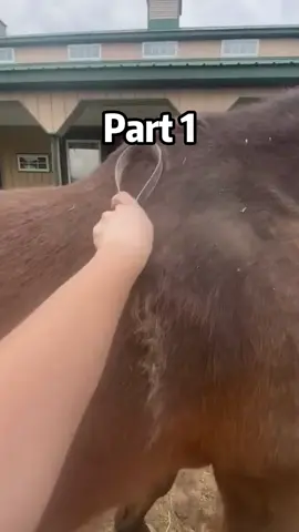 My parents sent me a voice message saying they cannot attend my wedding because my sisters dog was sick. so, my best man posted a video to shame them. #fyp #foryou #redditstories #reddit #redditstorytime #redditreadings #askreddit #shortstory 