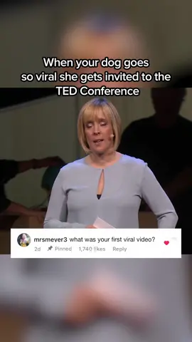 Can’t believe this actually happened #tedtalk #corgi 