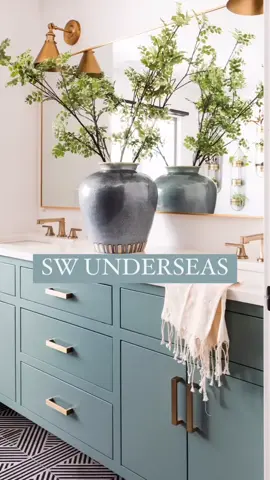 Transform your space into a haven of tranquility with the serene power of blue or green cabinetry 💙💚 These colors, reminiscent of nature’s calming hues, bring a touch of the outdoors inside. From the psychological calmness of blue to the renewing qualities of green, they create a perfect blend for a relaxing atmosphere. The visual comfort they provide and their versatility in shades make them the go-to choice for those seeking a peaceful retreat at home. Dive into the trend that not only adds style but also a soothing touch to your space. 💫✨ Which team are you? Comment TEAM BLUE or TEAM GREEN below! #sherwinwilliams #paint #popofcolor