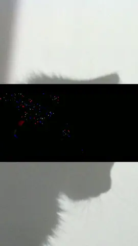 きゃとこ個人的解釈動画🐈‍⬛ニュアンスとかもしかしたらちょっと違う可能性あります🥲 #catcall #SixTONES #ジェシー #森本慎太郎 #田中樹 #高地優吾 #京本大我 #松村北斗 #慣声の法則 #スト担さんと繋がりたい #ジャニオタさんと繋がりたい @SixTONES / ソニーミュージック 