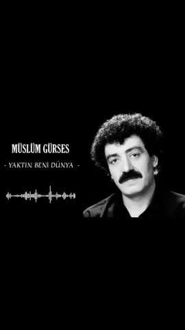 #müslümbaba  #fyppppppppppppppppppppppp  #viralvideo #müslümgürses  #keşfet 