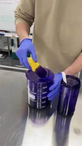 hismile toothpaste cares for your teeth