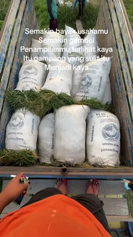 🌾🌾🌾#fyp #petanimuda #petanipadi #petaniindonesia🇮🇩🇮🇩🇮🇩🌿🌿 