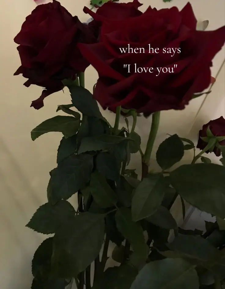 I love you forever... #lanadelrey #lana #lanatok #lanadelreystans #ultraviolencealbum #ultraviolencesupremacy #Love #viral #fypシ 