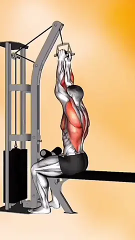 Treino de costas & bíceps 🔥💪🏽 #backworkout #fitnesstips #bodybuilding #Fitness #gym #musculação #academia #treino #treinodecostas #musculation #workout #gymrat #GymTok #fy #viral 