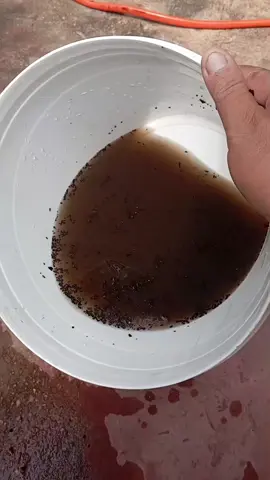 E toda essa sujeira a minha cliente estava respirando e por ai como esta? #arcondicionado #barradogarcasmt #limpezadearcondicionado 