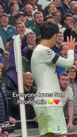 They were so happy when Son Heung-min waved at them 🥲❤️ (via petersungbae/IG) #sonheungmin #tottenham #PremierLeague #Soccer 