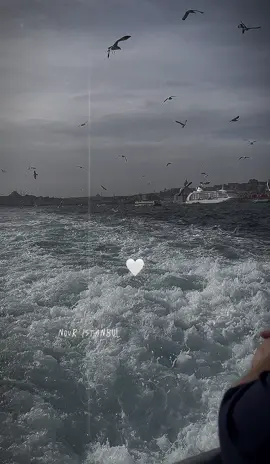 #كل_عام_وانتم_بخير❤ #عيد_الام_الله_يحفظ_امهاتكم_جميعا #بدون_موسيقى #كفيتي_ووفيتي #اكسبلور 