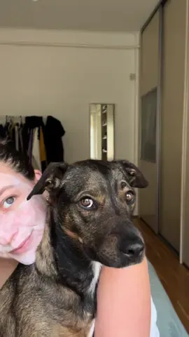 és te hogy töltöd az időt, amíg hat az arcmaszk?🐶 #skincare 