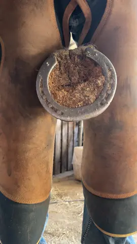 I’ve just realised i hadn’t shared this from yesterday. Possibly because the light was bad, I’ll let you decide! ☺️