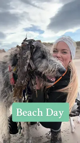 Todays beach day with the dogs 🐶 #dogs #dogsoftiktok #beachday #quote 
