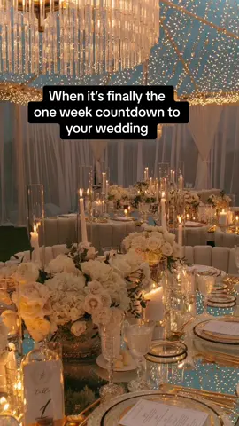 One week to go!! #wedding #Meme #MemeCut #easterwedding #weddingcountdown #marchbride #fyp #gettingmarried 