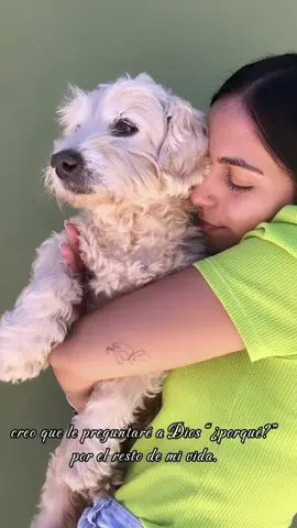 Jamas voy a entender, ni mucho menos aceptar que no estes aca. Wil te voy a amar toda la vida. 🥺🪽✨🐶 