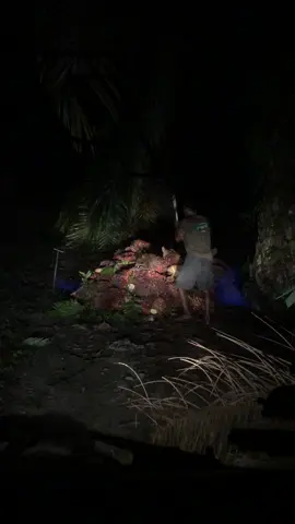 #storysupirtruk #sawit #fyp #lansirsawit #sawitontiktok #taftdieselindonesia #sawit 