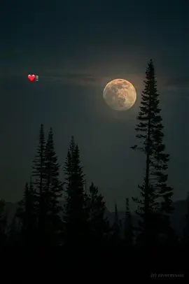 si pudiera bajarte una estrella del cielo 💗#foryou1 #fypシ #foryoupageofficiall #pinchetiktokponmeenparati #Viral #parati #tiktok #tiktokhasmeviral #viral #enriqueiglesias #cuandomeenamoro #❤️ #dedicarcanciones 