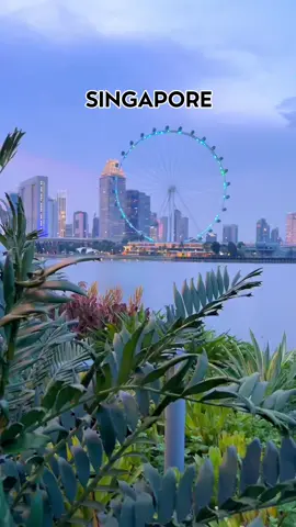 Có bà nào đi Sing về xong bị nghiện mấy món này giống tui hông huhu !! #Ancungtiktok #LearnOnTikTok #ReviewAnNgon #VisitSingapore #MadeInSingapore #travel #tranquocthai 