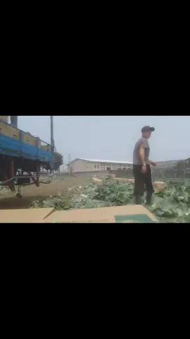 1.600 Thùng 1 mình anh cân Hết 💪#73quangbinh #taiwan🇹🇼 #joke 