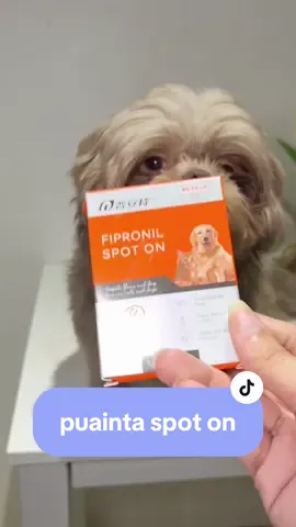 problema mo ba ang garapata at pulgas sa alaga mo? try mo tong gamit naming fipronil spot on from @puainta store #antifleas #puainta #puaintaph 