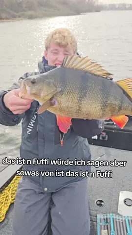 knapp daneben ist auch vorbei 🥲. #angeln #barsch #perch #fishing #bassfishing #perchfishing #harzfishing 