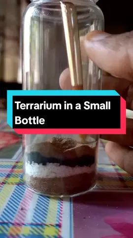 Closed Terrarium in a Small Bottle  #foryou #foryoupage #for #srilankan #terrariummaking #srilankatiktok #srilankan_tik_tok🇱🇰 #srilanka #terrarium #miniterrarium #leafyhaven #gift #giftideas 