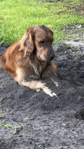 Alice enjoying her hole 