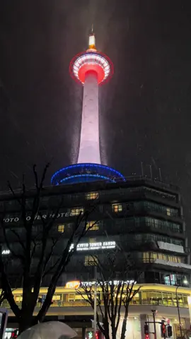 Snow fall last night was magical❄️ march 20.2024  #kyoto #japan #travel #japantravel #snow #kyotojapan 