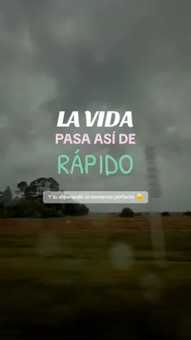 Y tu esperando el momento perfecto 🫠🥺 #lavidasigue #lavidapasarapido #ugc #ugccreator 