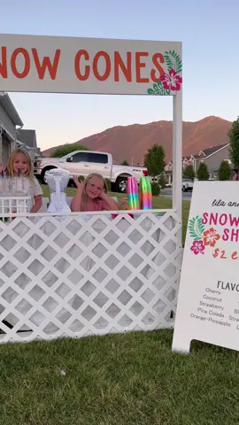 Best snow cone machine ever! Linked in my bio 🩷