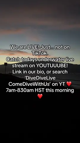 Hurry up and follow our YT to not miss todays live stream!!!! #comedivewithus #fyp #scuba #hawaii 
