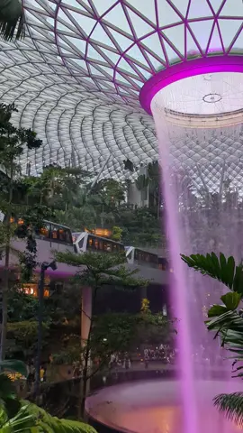 Changi Airport and Butterfly Garden 🦋 The most beautiful airport in the world, absolutely magnificent  🇸🇬 #changiairport #singapore #holiday #airport #asia #changi #holiday #travel #voyage #fountain #jewelairport #jewel #singaporeairlines #changi #airport #world 
